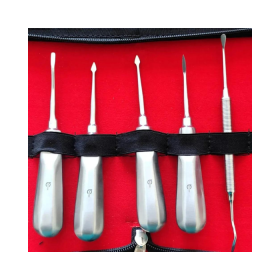 Veecare Surgical Extraction Instruments Set of 5